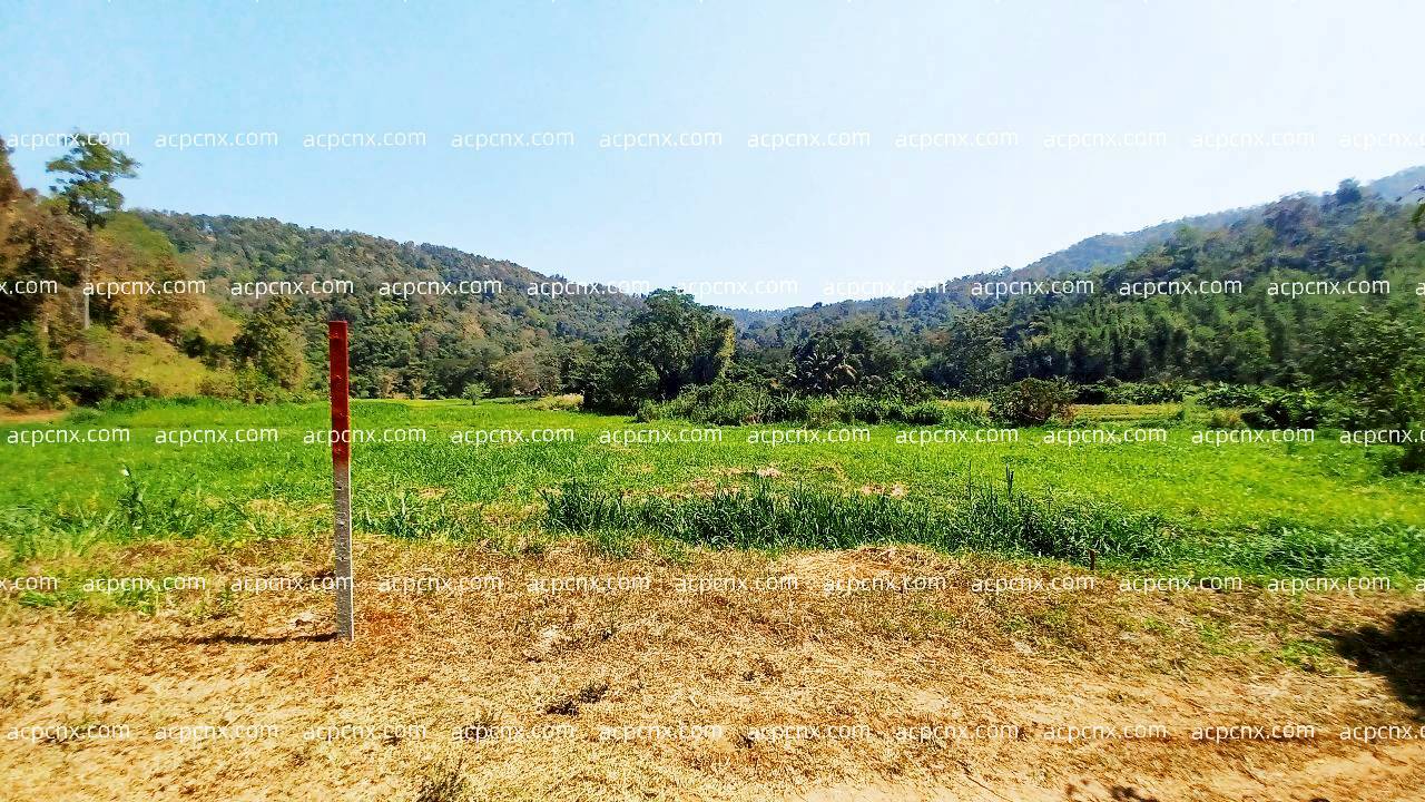 ในภาวะสงครามทำไมเราต้องซื้อที่ดิน?