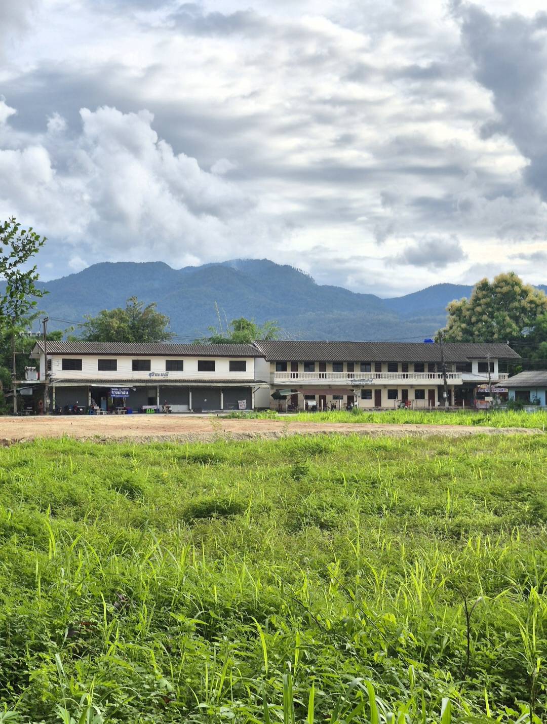 ขายที่ดินวิวดอย แม่ริม เชียงใหม่