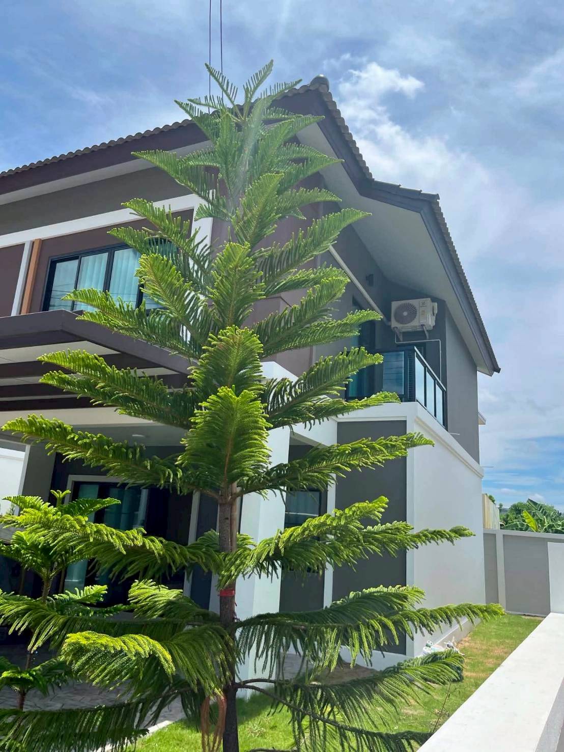 บ้านใหม่ให้เช่า สวย พร้อมอยู่