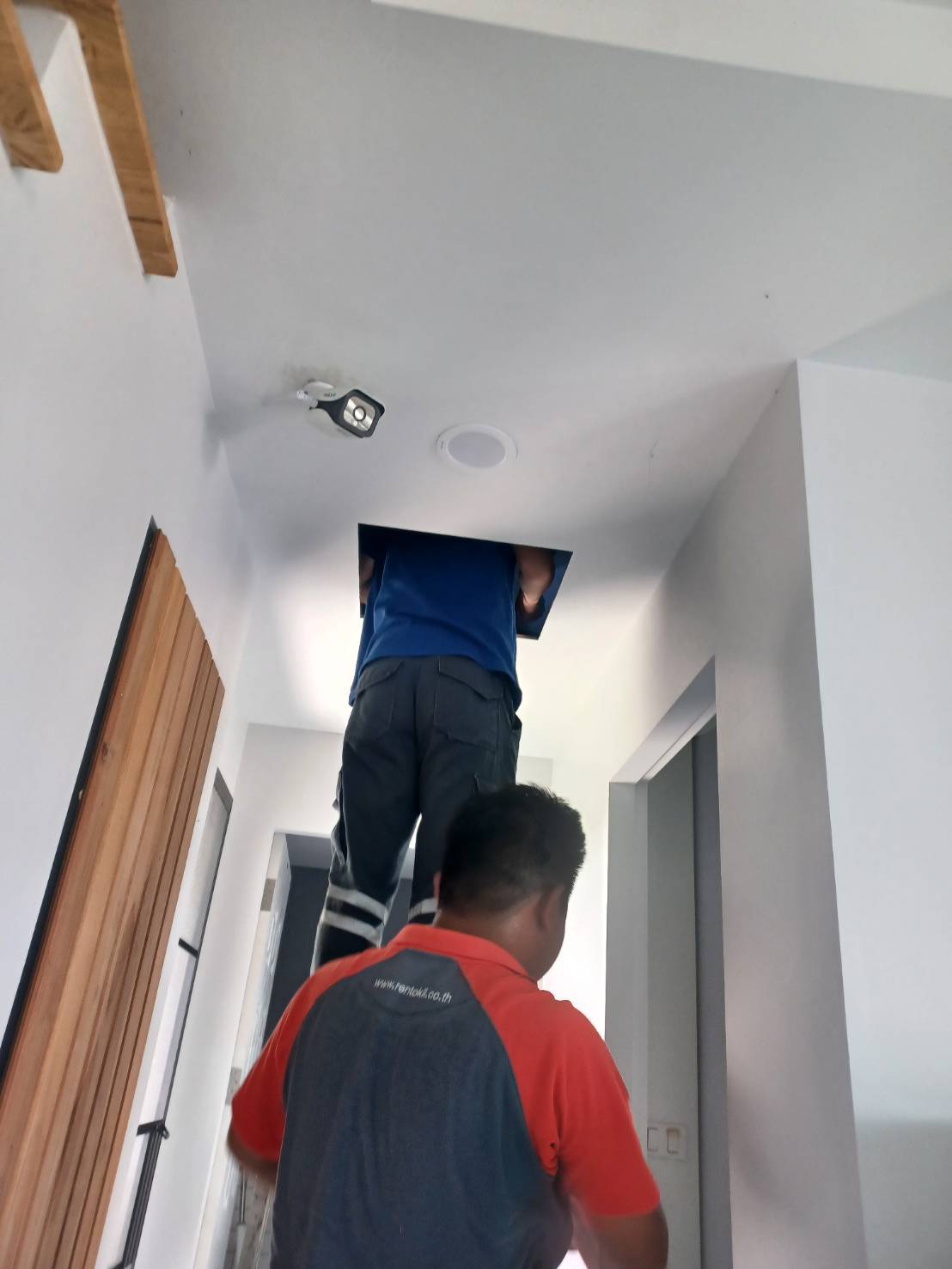 ฉีดปลวก